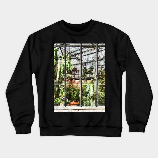 Greenhouse With Large Cactus Crewneck Sweatshirt by SusanSavad